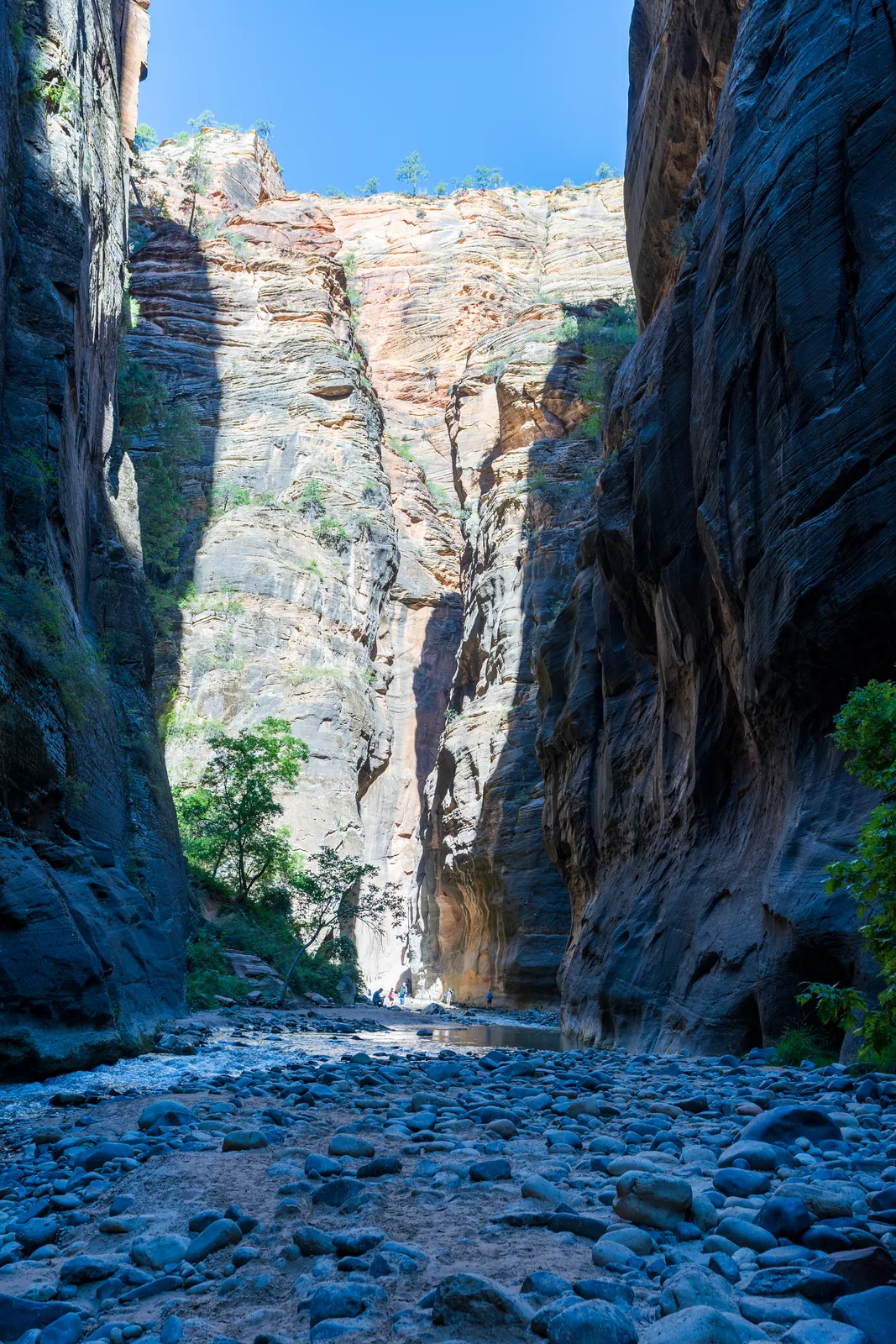 Deep slot of the Narrows with the river running out of shadow toward a lit wall high above