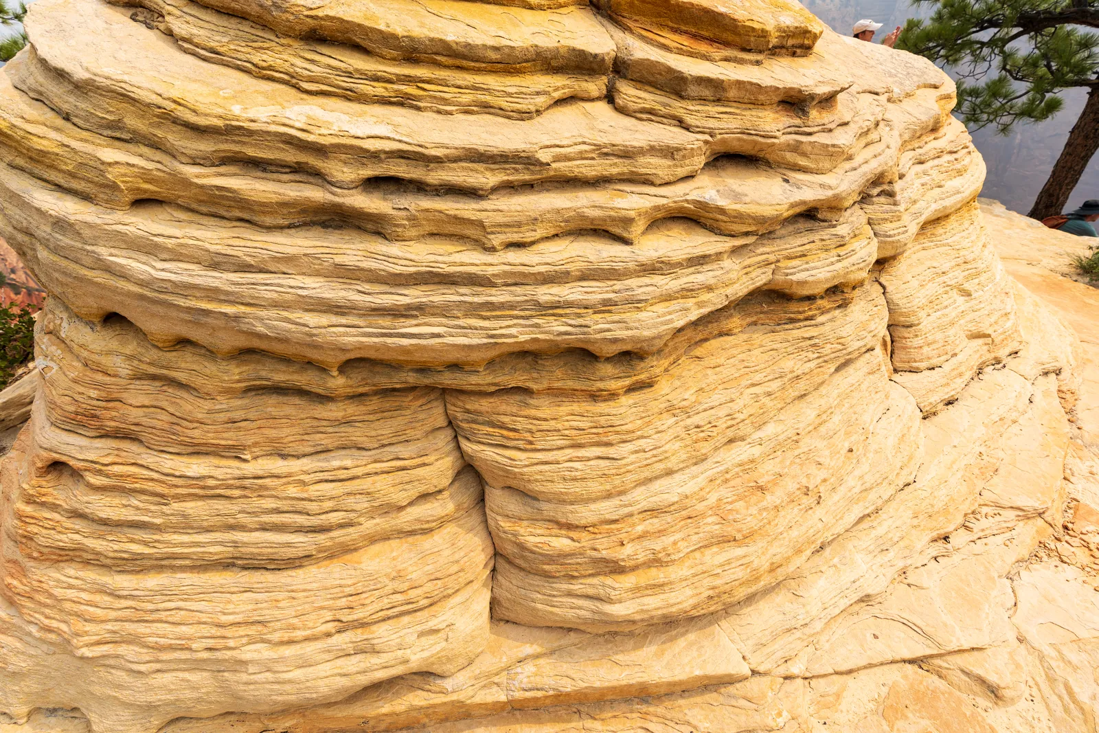Tight study of golden cross-bedded Navajo sandstone