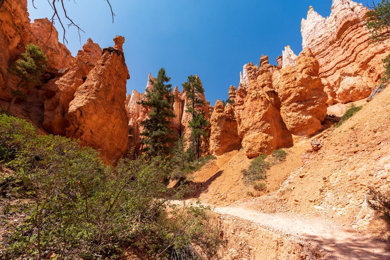 Corridor of hoodoo walls closing in on both sides, warm reflected light on the sandstone, clear sense of place