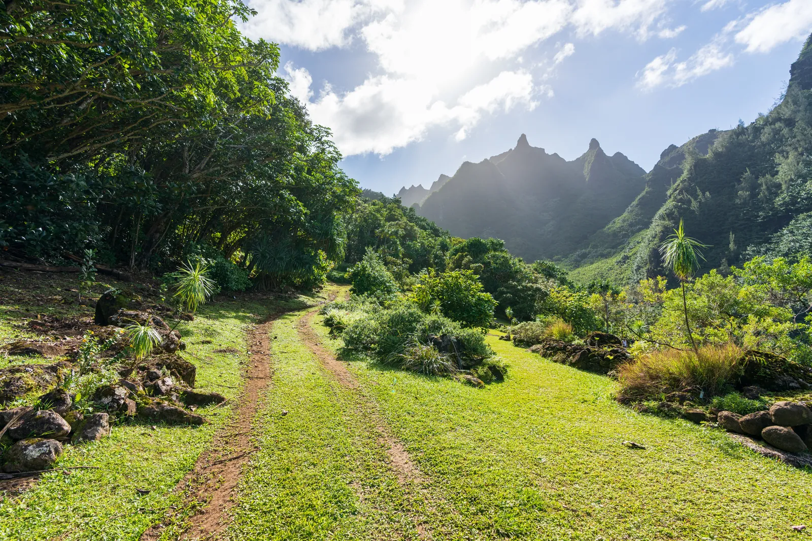 Twin-track grass road runs straight into the spired Makana ridge