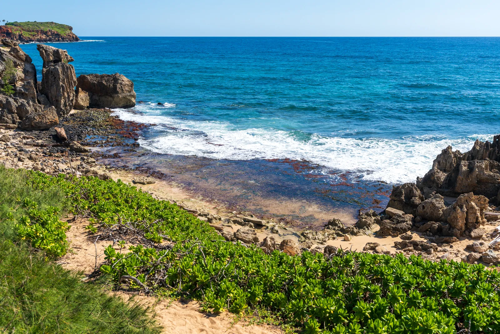 Sea arch punched through the lithified headland, naupaka green sweeping in as foreground