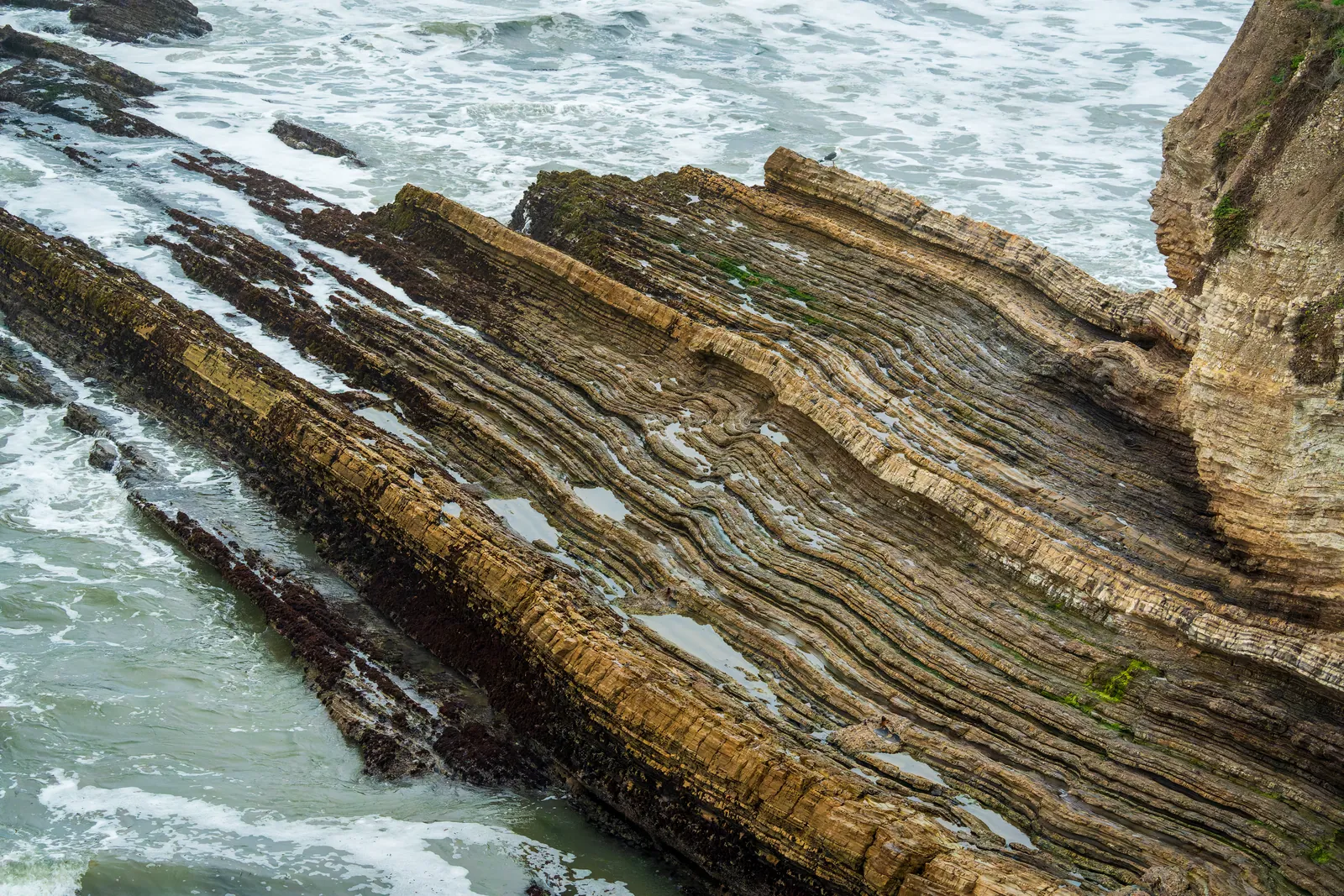 Tilted sedimentary strata raking diagonally across the frame with white surf breaking along the seams. Real graphic structure, soft overcast light that holds detail in both the rock and the foam, and a geological subject that reads as a deliberate photograph rather than a holiday view
