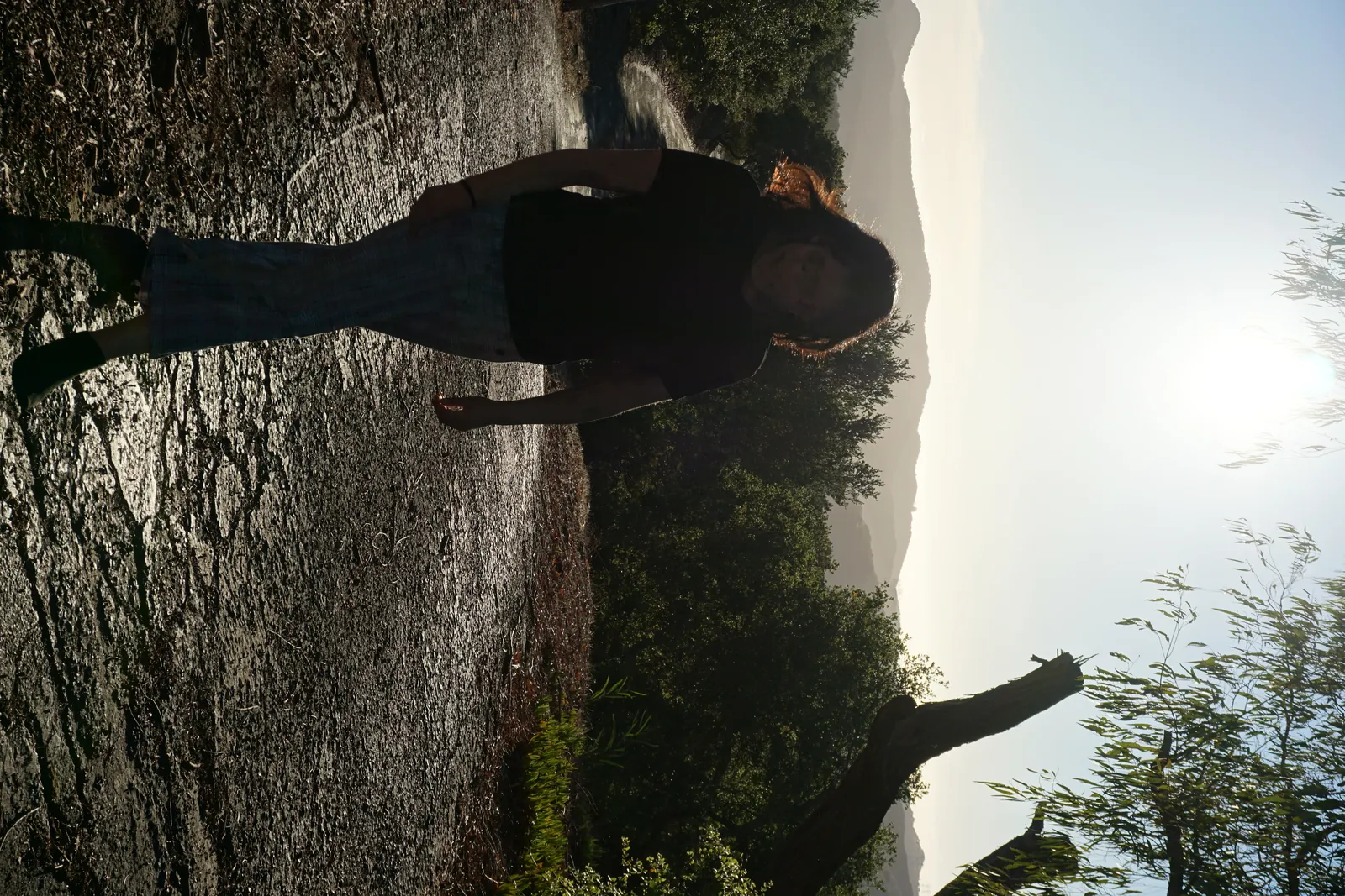 Backlit figure walking a dirt path at low sun, reading as silhouette and long cast shadow rather than as an identifiable face, with the bare tree and hillside framing her. Person used as scale and form inside a landscape