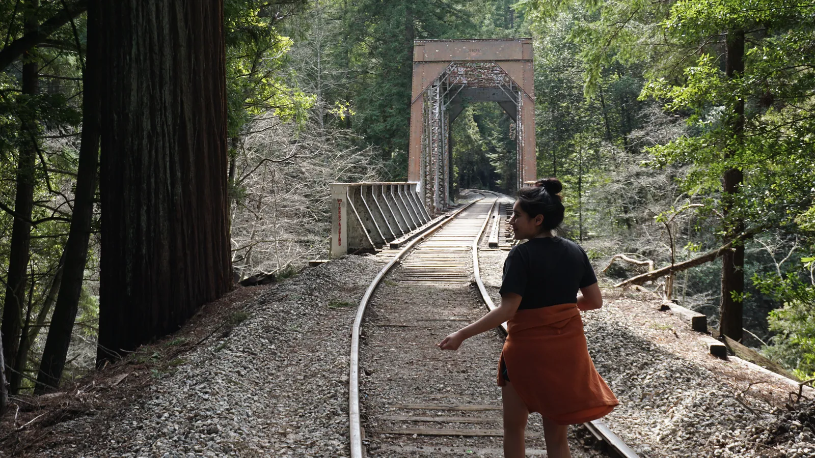 Woman walking away along a curving rail line toward a steel trestle, framed left by a massive redwood trunk. Back turned so she reads as form, the orange skirt the single warm accent in a green-grey forest, and the track curve carries the eye into depth. Soft even forest light, no expression risk. The strongest human-in-landscape frame in this batch